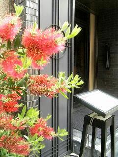 e0111793_10205689.jpg