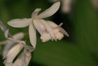 d0025894_072327.jpg