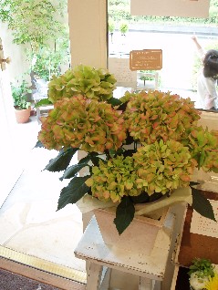 c0076496_22121366.jpg