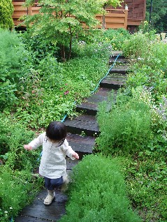 c0076496_2223468.jpg