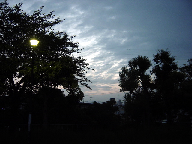 d0010496_11502852.jpg