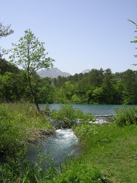 f0081398_781991.jpg