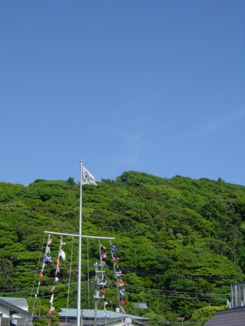 b0083902_1542027.jpg