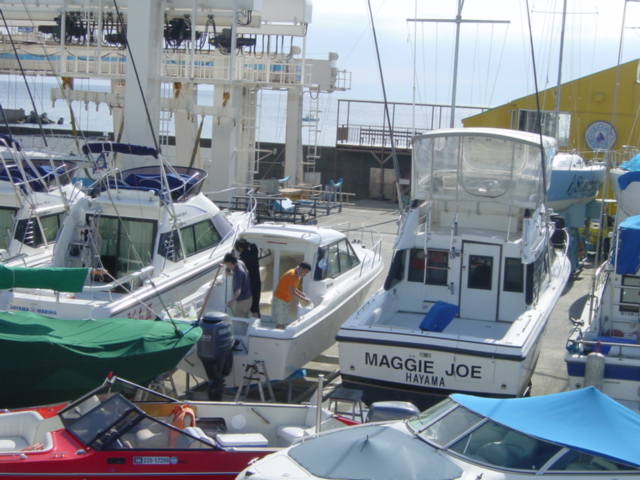 b0083902_1561683.jpg