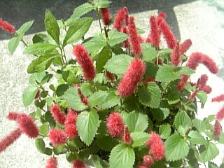 e0098908_22382531.jpg