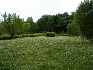 e0090610_17381940.jpg