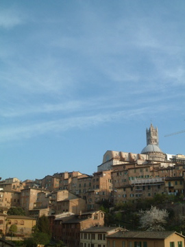 d0111714_11291359.jpg