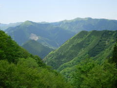 a0001815_22322950.jpg