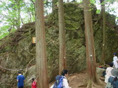 a0001815_22365592.jpg