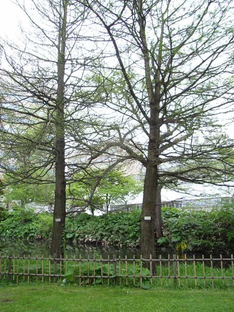 e0049318_20571314.jpg