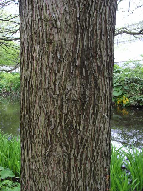 e0049318_20575287.jpg