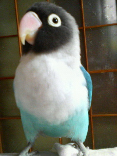 f0126418_1013426.jpg