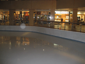 d0038319_16312532.gif