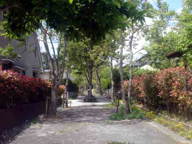 e0083820_12464625.jpg