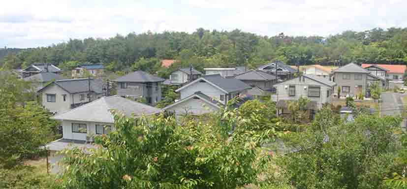 e0083820_12481452.jpg
