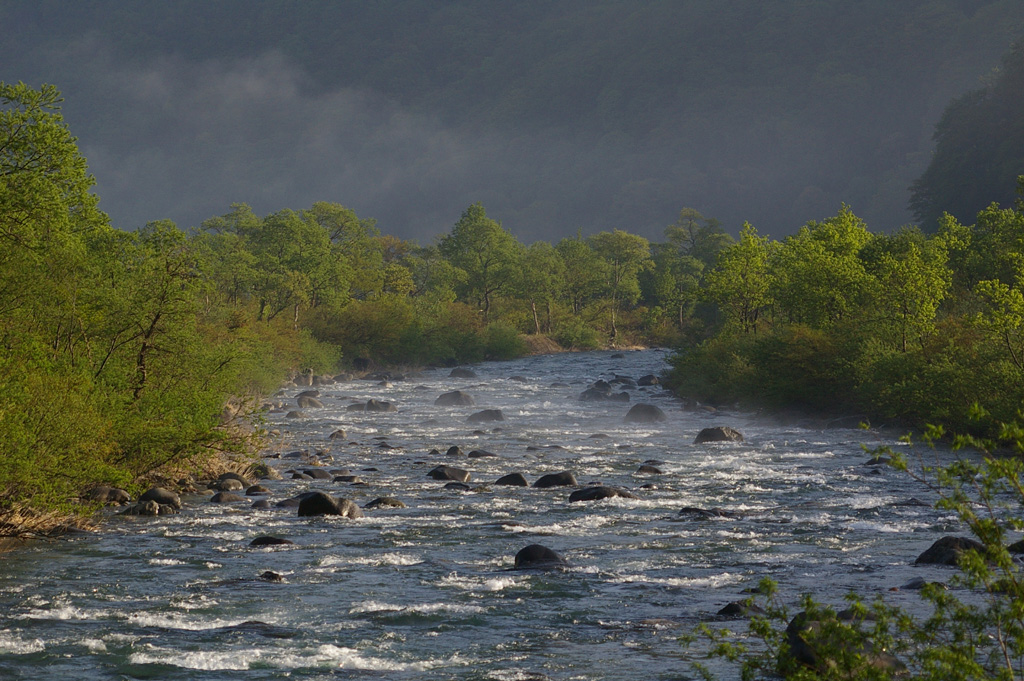 b0062024_20141313.jpg