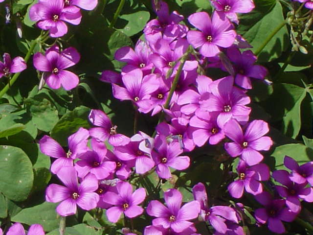 b0105724_0262089.jpg