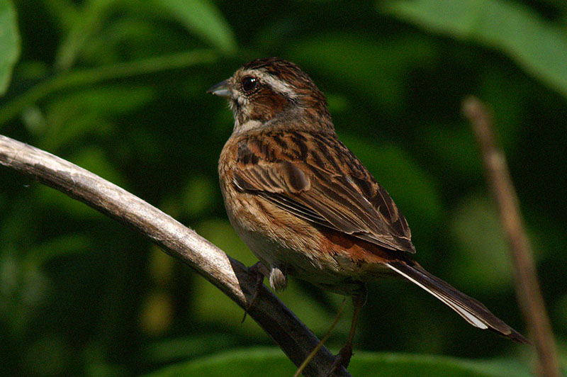 d0089024_17289.jpg