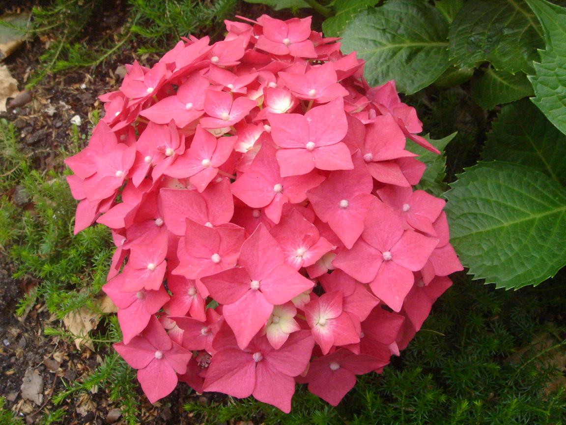 f0132327_320666.jpg