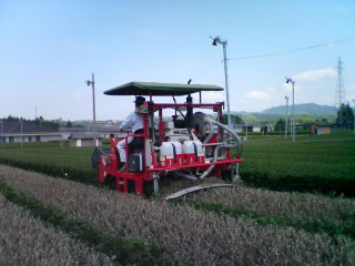d0014229_23431457.jpg