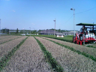 d0014229_23431786.jpg