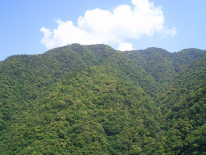d0008832_8324336.jpg