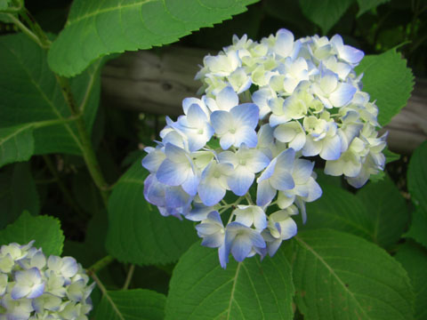 e0044635_18121225.jpg