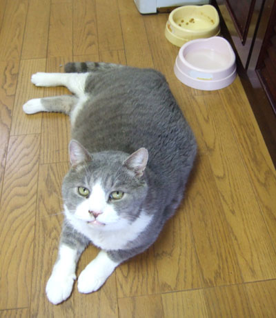 f0008935_15335029.jpg