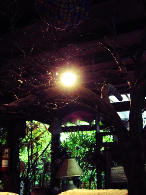 a0023740_8503536.jpg