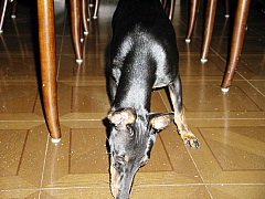 c0123149_14225520.jpg