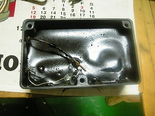 f0000652_3501259.jpg
