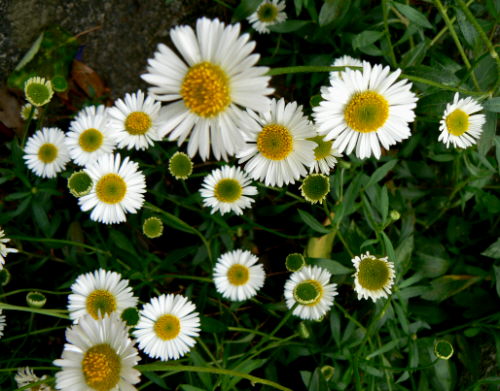 d0091754_003954.jpg