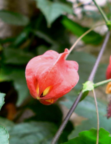 d0091754_4283451.jpg