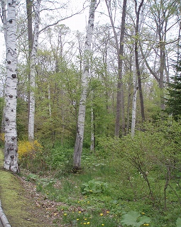 e0004756_21111622.jpg