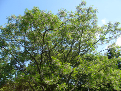 b0045357_8442269.jpg