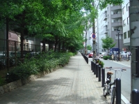 c0108460_21152773.jpg