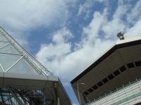 c0108460_2193177.jpg