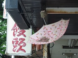 e0041168_8452138.jpg
