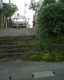 a0091680_14111567.jpg