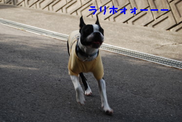 c0092787_9423838.jpg