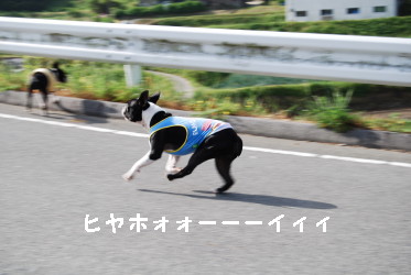 c0092787_942561.jpg