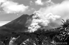 a0011290_0182544.jpg