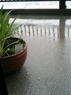 f0024291_20654100.jpg
