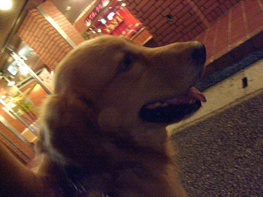 c0096393_2314624.jpg