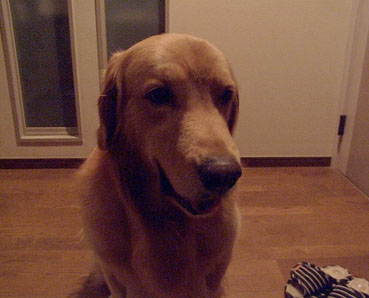 c0096393_23355234.jpg