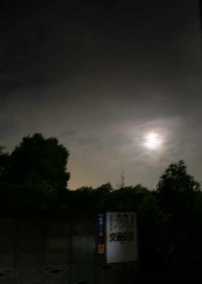 d0100095_8493662.jpg
