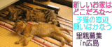 子猫の窓辺 願いはかなう