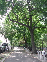 c0088402_6552826.jpg