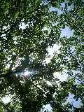 d0032405_20264135.jpg