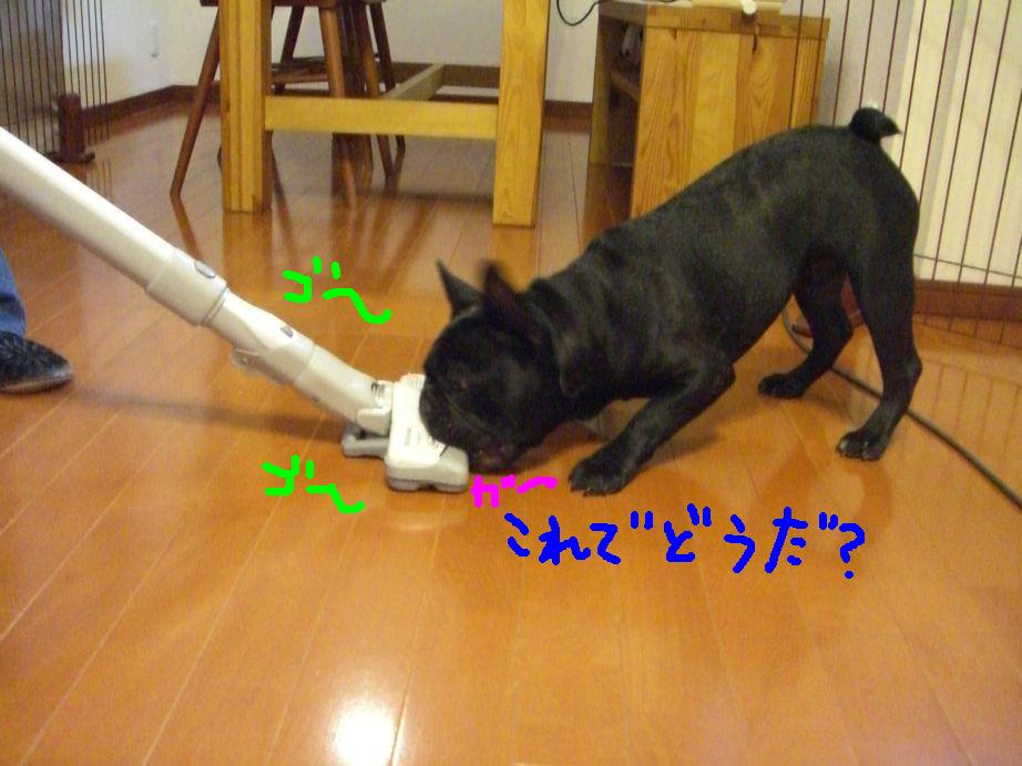 c0113109_2225052.jpg
